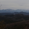 雪も駆け込み