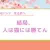 【光る君へ】人らしさの雲泥の差と可愛い猫