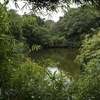 川名清水谷戸の溜池
