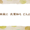 暗い空【仲夏の俳句】