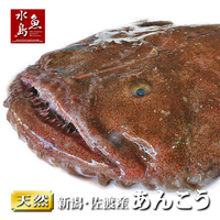新年ダライアス会 料理室で死ぬほど魚を食べた会 ソレドコ