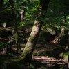 Yatsugatake Snaps 2026_03