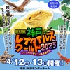 4月12.13日神戸レプタイルズワールド出展致します！