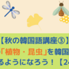 【秋の韓国語講座③】秋の「植物・昆虫」を韓国語で言えるようになろう！【24選】