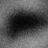 【G】名前を呼ぶのも恐ろしいゴキブリって闇の帝王なんじゃね？