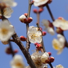 2019年2月10日 大高取山（日帰り）