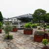 水生植物公園水の森におでかけしました