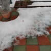 雪がどんどん解けてきましたっ！