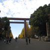 靖国神社で紅葉狩り　その１