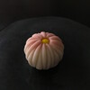 Wagashi class in English: Sweets for autumn