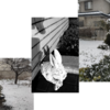 雪は降りましたね