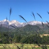 リベンジ  白馬大池山散歩
