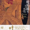 『琥珀捕り』キアラン・カーソン／栩木伸明訳（東京創元社　海外文学セレクション／創元ライブラリ）★★★★☆