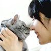 猫と暮らす！一人暮らしの学生が1Kで飼うときに注意すべきこと