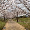 【開催御礼】4月13日　妙経寺春祭り