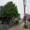2024/04/26 拝島・昭島散歩 06 こぱんはうすさくら昭島たなか教室/わんちゃんが洗える！ワンダフロ USA24/檜の木踏切/龍田寺/日枝神社（上川原町)/昭島駅