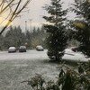 雨は朝っぱらから雪へと変わるだろう