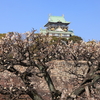 大阪城梅園