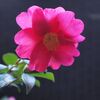 ハイヤーセルフに導かれているサイン