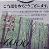 【当選品】２月４個目　マックスバリュ×ヤマサ　商品券２０００円分　(１３)