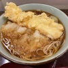 文殊でイカ天おろし＆休肝日