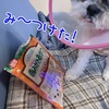 もっくんのおやつはササミスティック