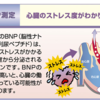 朝４時半救急車の鳴り響く音に起こされて！　年齢的に許容範囲とは！？