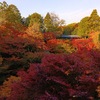 東福寺・早朝拝観で紅葉を観てきた
