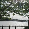 今日のお散歩風景♪ ～いつもの公園でも～