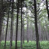 山の上は夏から秋へ〜湯の丸・烏帽子周回