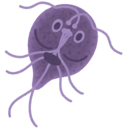 大スキピオ日記