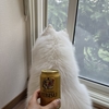 暑いよ…