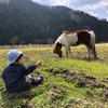なんだか寂しいな…。