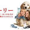 映画 コメディ/ドラマ『マーリー 世界一おバカな犬が教えてくれたこと』「犬は高級車も豪邸もブランド服も求めない。枝が一本あればそれで十分だ。あなたが金持ちでも、貧乏でも、利口でも、鈍くても、犬は気にしない。愛すれば必ず応えてくれる」