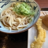 冷やしぶっかけうどん