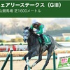 【 ハルの競馬予想 🏇 11.Jan’21 】