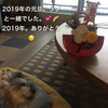 #愛犬ラブ。10回目の月命日を迎えて・・・。