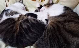 記事を見る