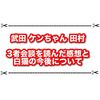 武田っちとケンちゃんの会談を読んだ感想と白猫の今後について