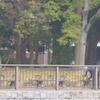 名城公園・すばらしい人が居るんです！