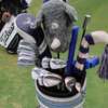 WITB｜リチャード・ブランド｜2022-05-29｜Charles Schwab Challenge