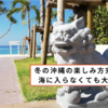 冬の沖縄の楽しみ方完全ガイド！海に入らなくても大満足の秘訣