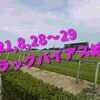 2021,8,28～29 トラックバイアス結果 (新潟競馬場、小倉競馬場、札幌競馬場)