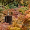 紅葉の談山神社と長岳寺と猫