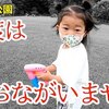 6月9日の動画