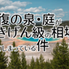 回復の泉・庭がごきげん級の相場になってしまっている件