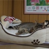 気が抜けたら。。