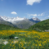 スイス旅行記：6日目②［スネガまでハイキング〜ツェルマットの街でフォンデュを食べる］