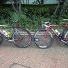 青葉練　真鶴往復　170km