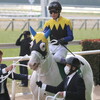東京競馬場へ行ってました - 2026/2/14